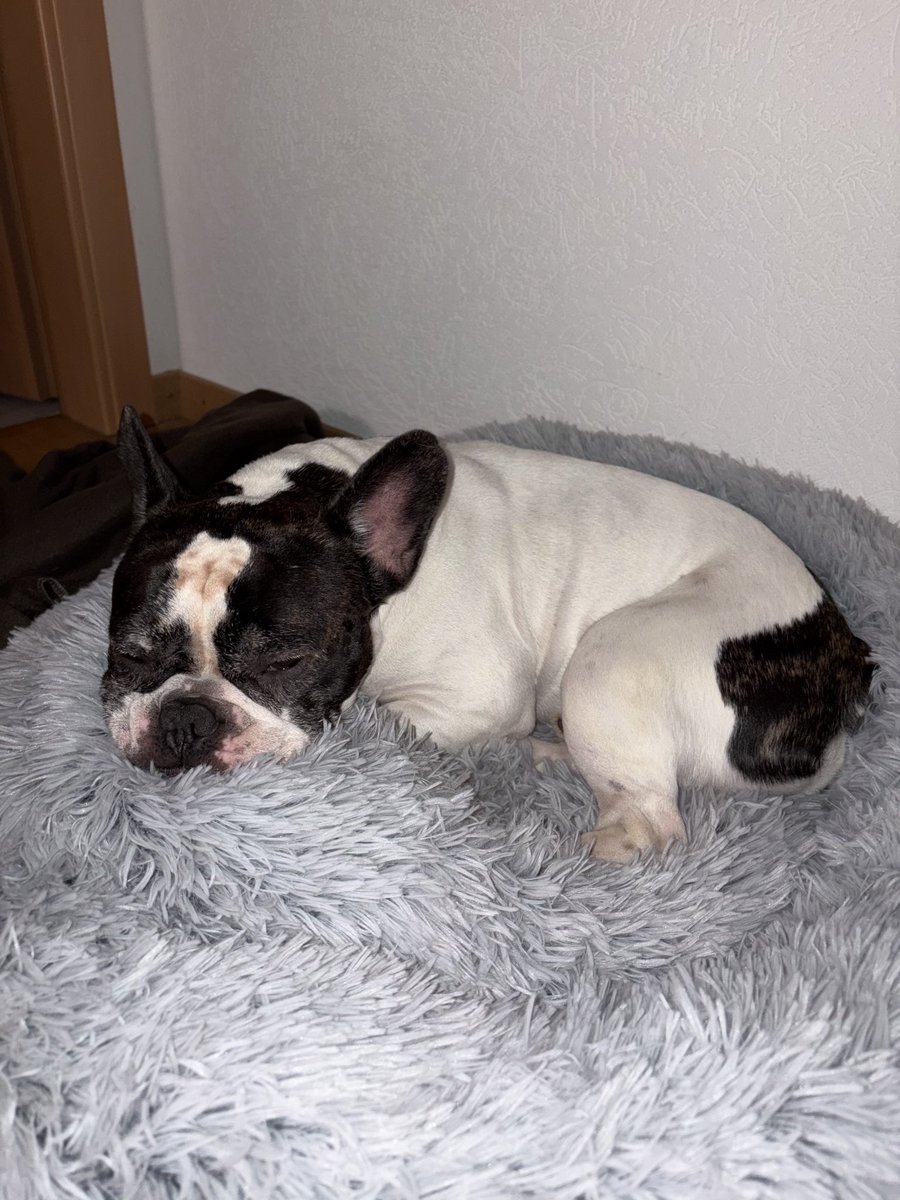 GM 

Me every morning during winter