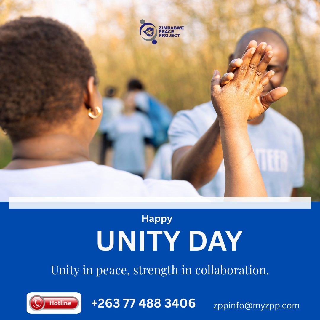 The Zimbabwe Peace Project tweet media