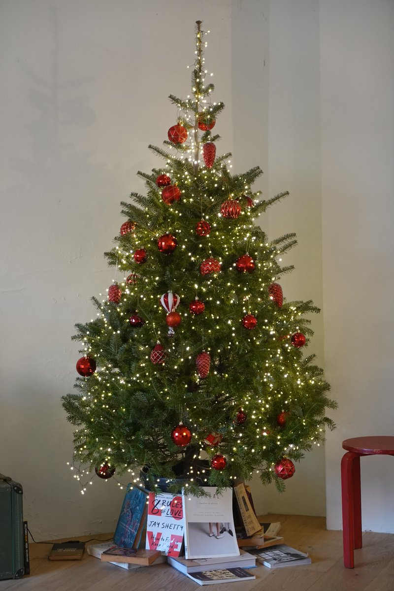 endomamesoup's tweet image. 실감은 안나지만 크리스마스가 온데