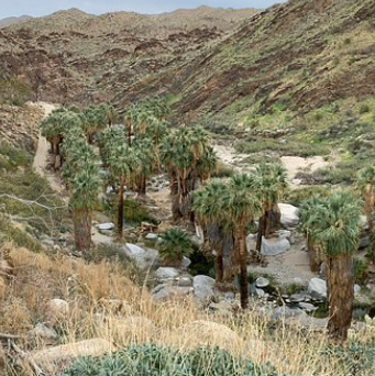 sdtmanager's tweet image. On some tracks you can switch to other routes.