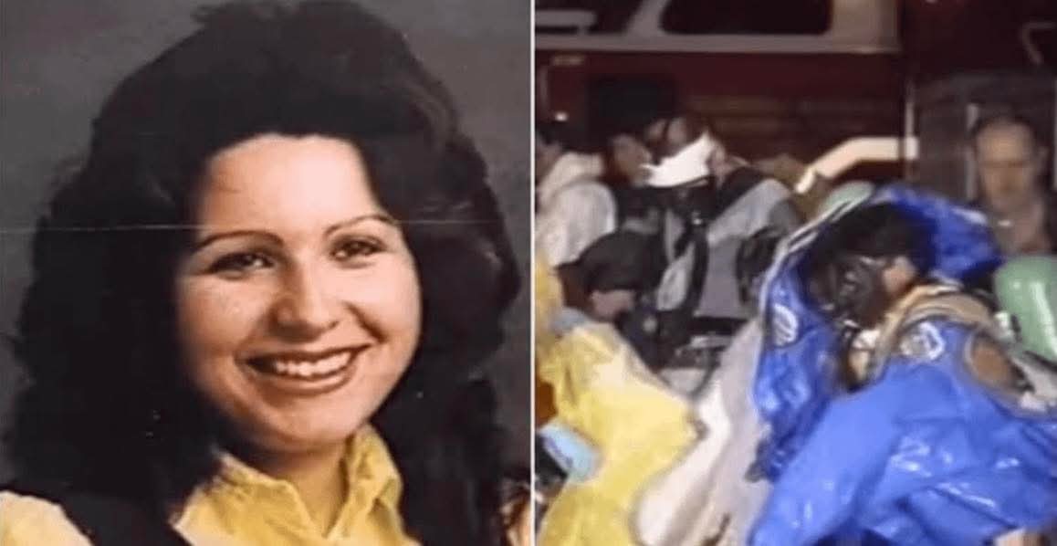 Archaeo - Histories tweet media