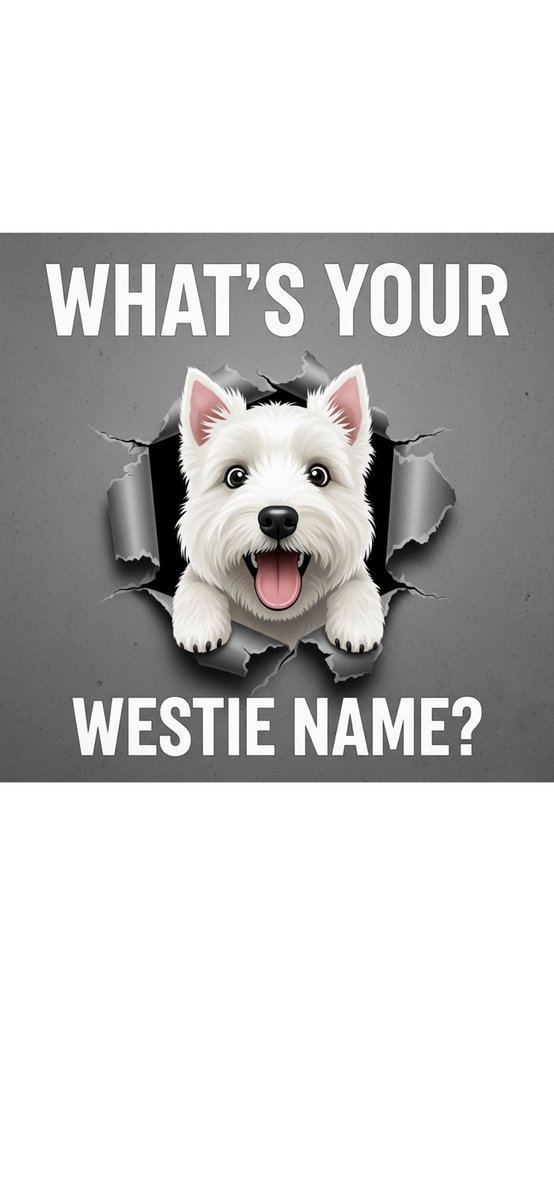 gregorius_6's tweet image. Tofu▫️🐾