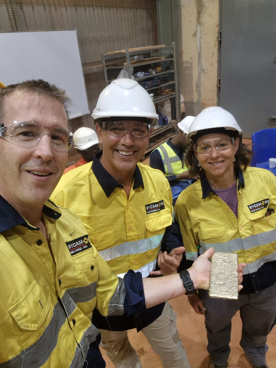 Robex Resources Inc tweet media