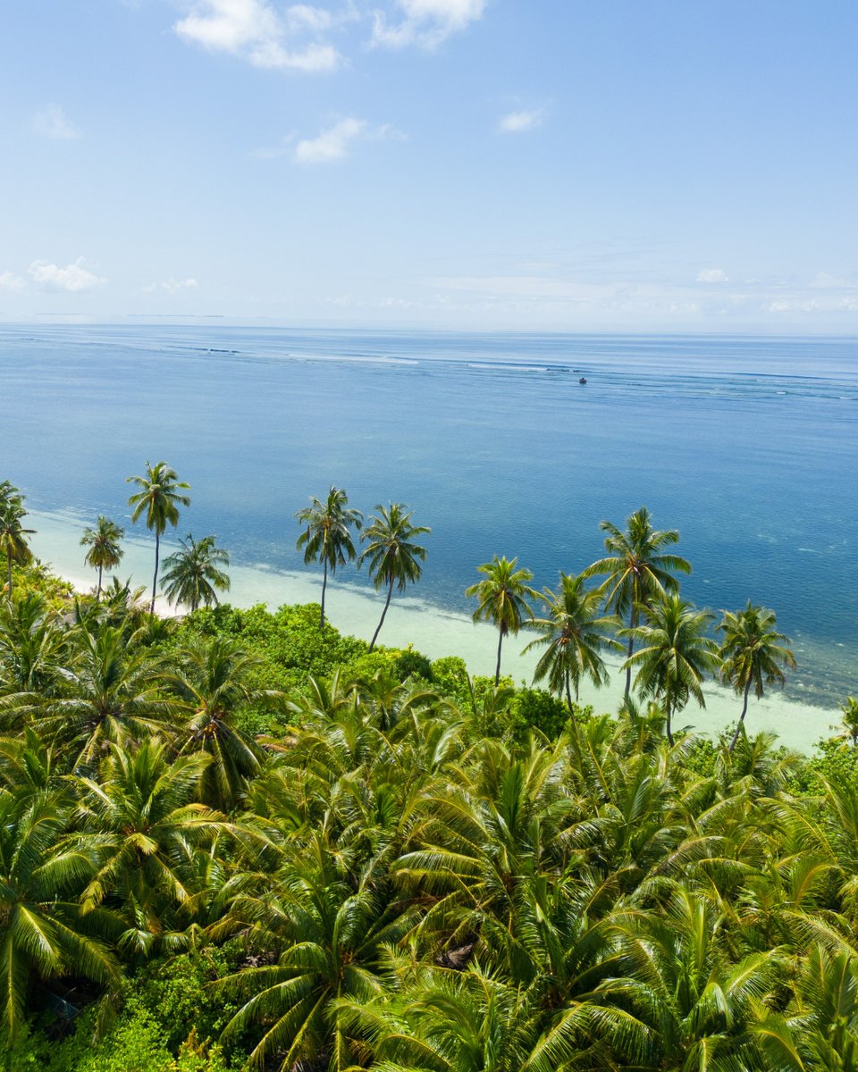 Pure island bliss, just the way the Maldives should be. 🌴✨

#islandrooms #staylocal #maldivesgetaways #visitmaldives