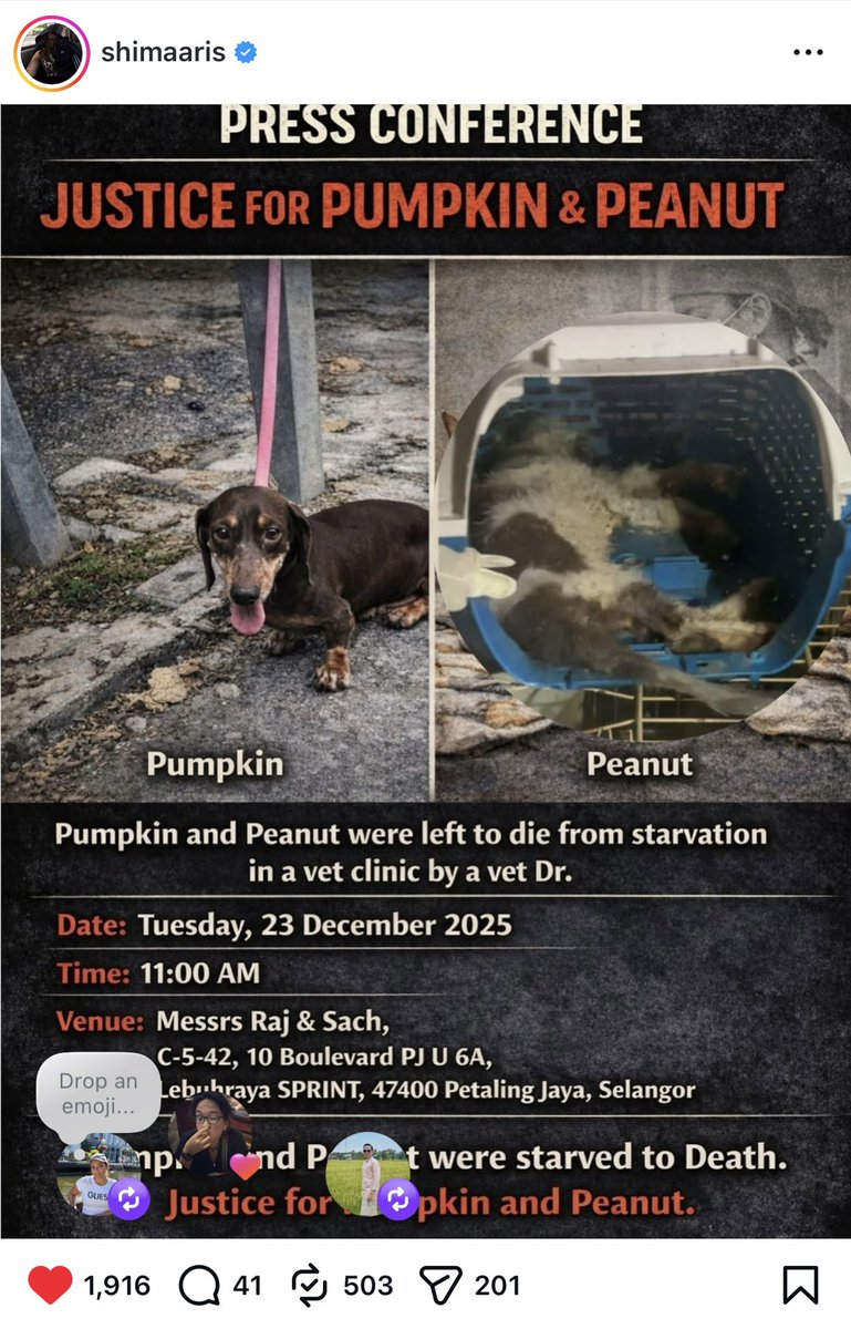 crazycatmakcik's tweet image. Update: Shima Aris the original rescuer who discovered and exposed this neglect is conducting her own PC with lawyers tomorrow to provide more information on the matter. Details in the image. Do head over to show your support / solidarity if you can.