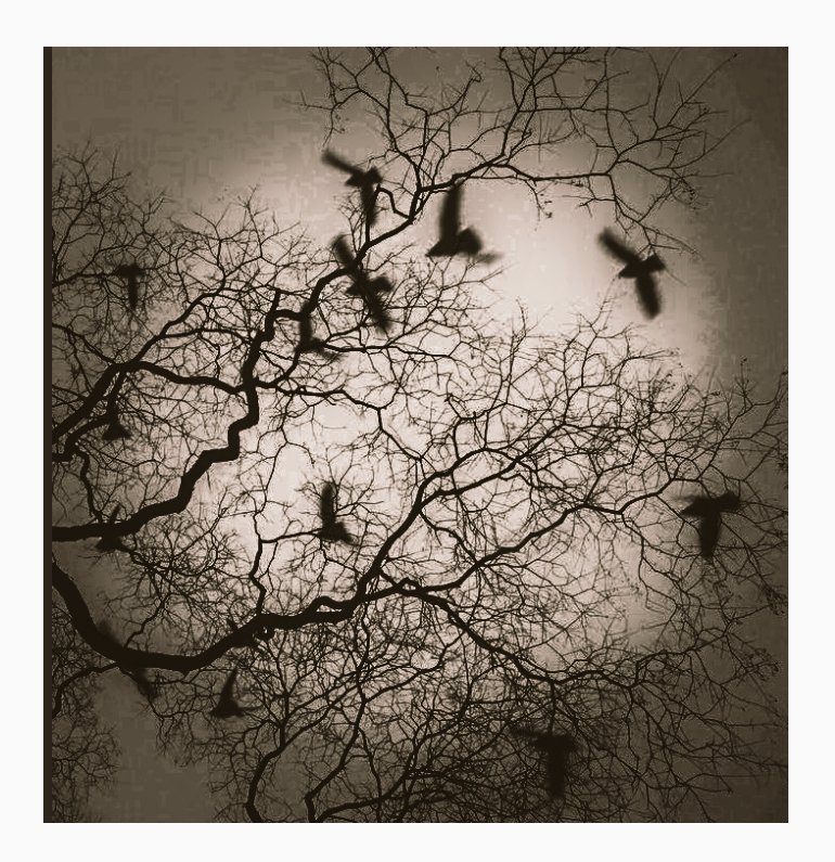 jessaricc's tweet image. “Every saint has a past, and every sinner has a future."
      — Oscar Wilde