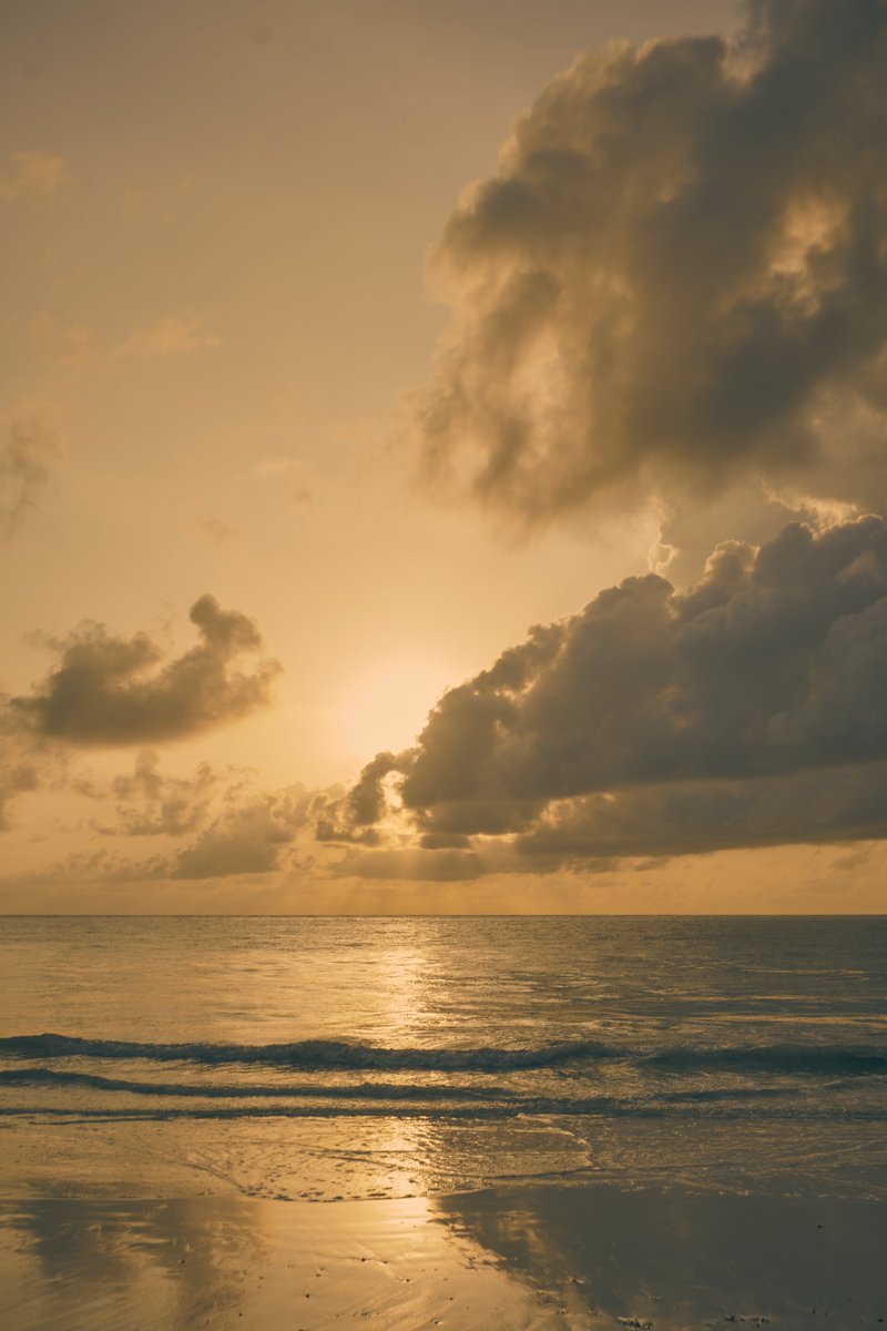 ˢᵘⁿ_ᶜʰᵃˢᵉʳ ☀️📸 tweet media