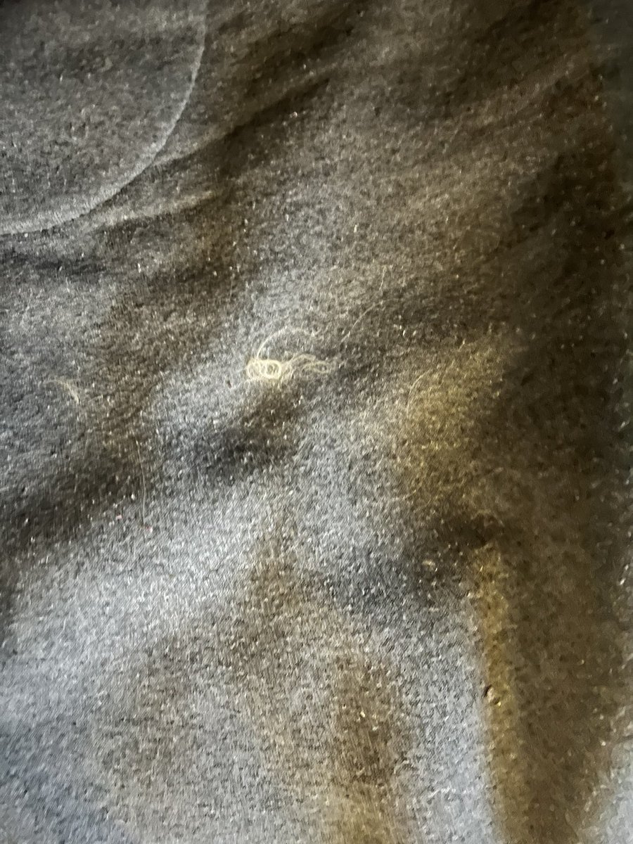 И когда эта заботушка только успевает?