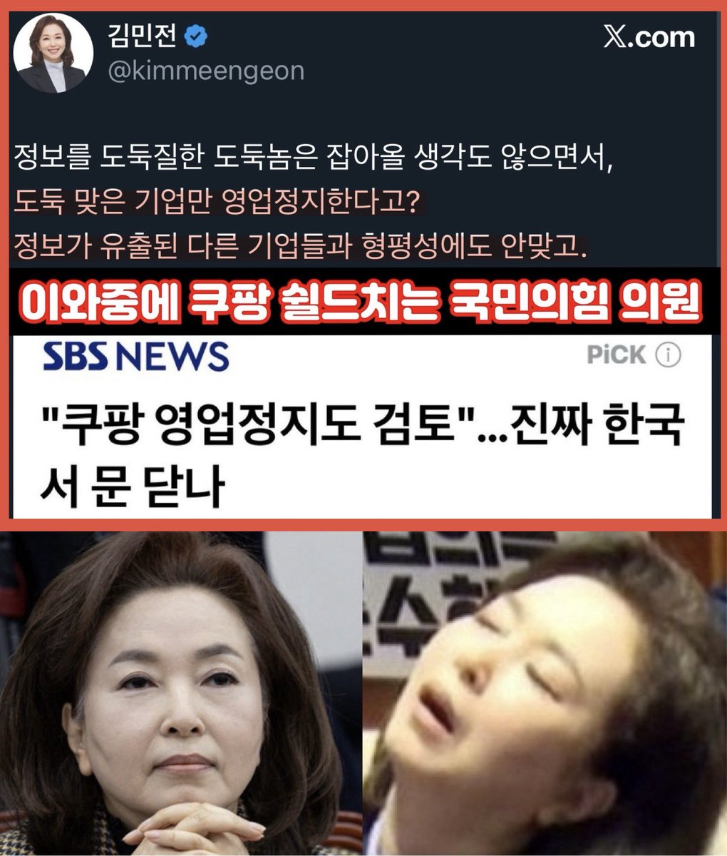 내란 옹호 윤어게인 김민전이 쿠팡 쉴드까지 친다.
현재의 국민의힘 수준을 제대로 보여준다.
잘하고 있다.