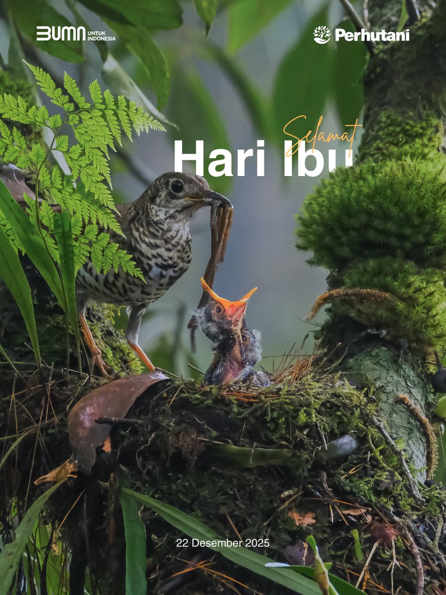 Perum Perhutani tweet media