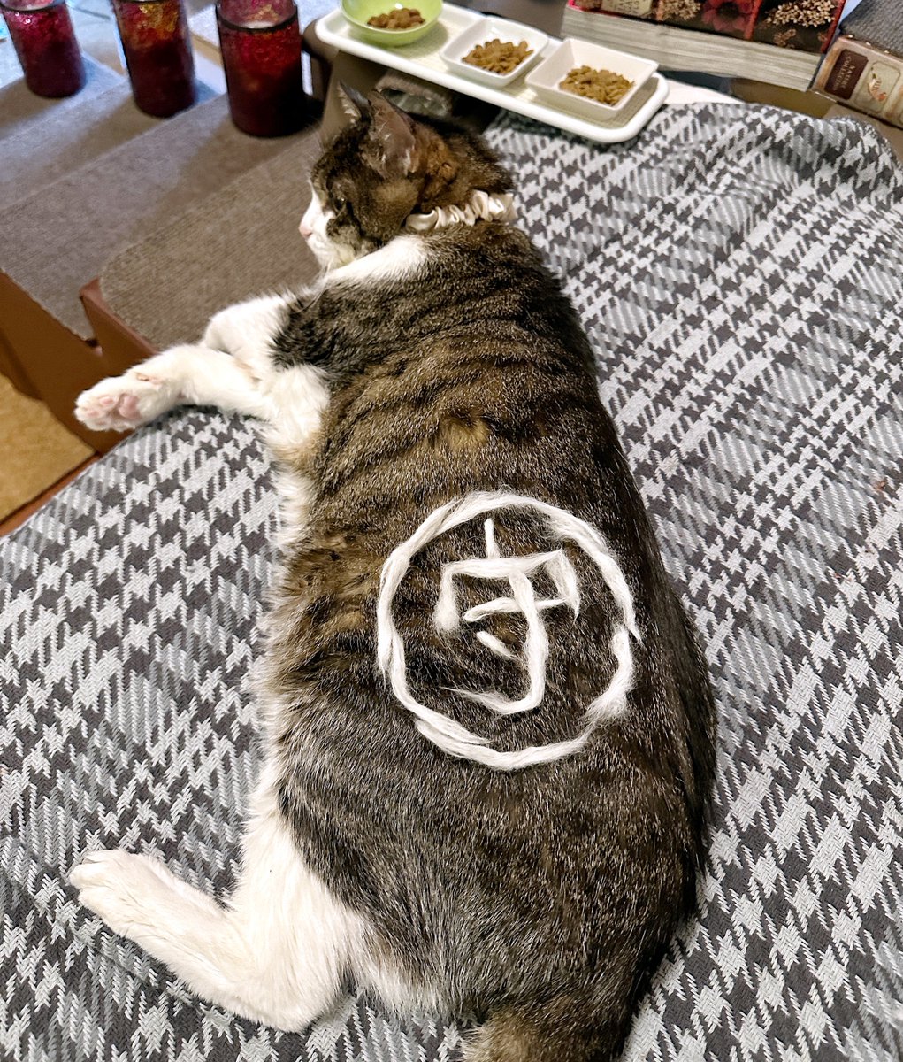 菊千代とmum (@y5_y5_san) / Posts / X