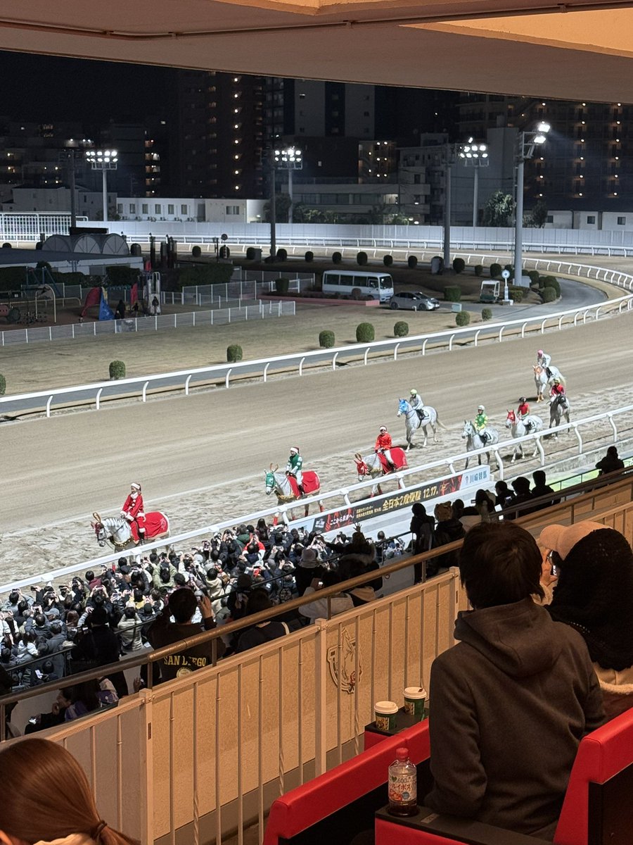 ホワイトクリスマス賞🎄
芦毛かわゆ！