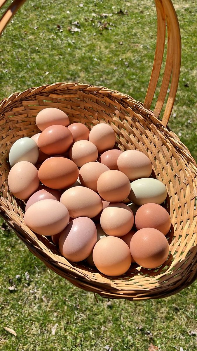 mubeen477's tweet image. What is it called in your language ?