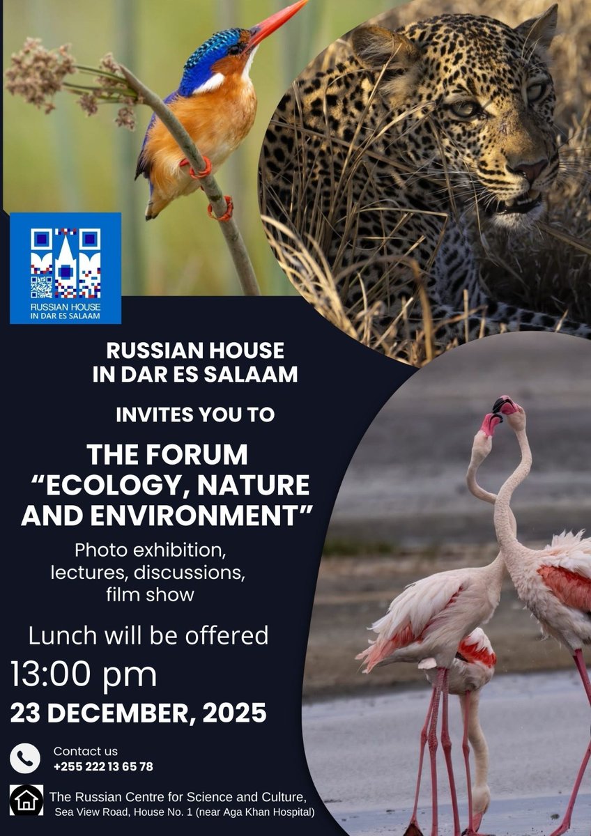 Russian House in Dar es Salaam tweet media