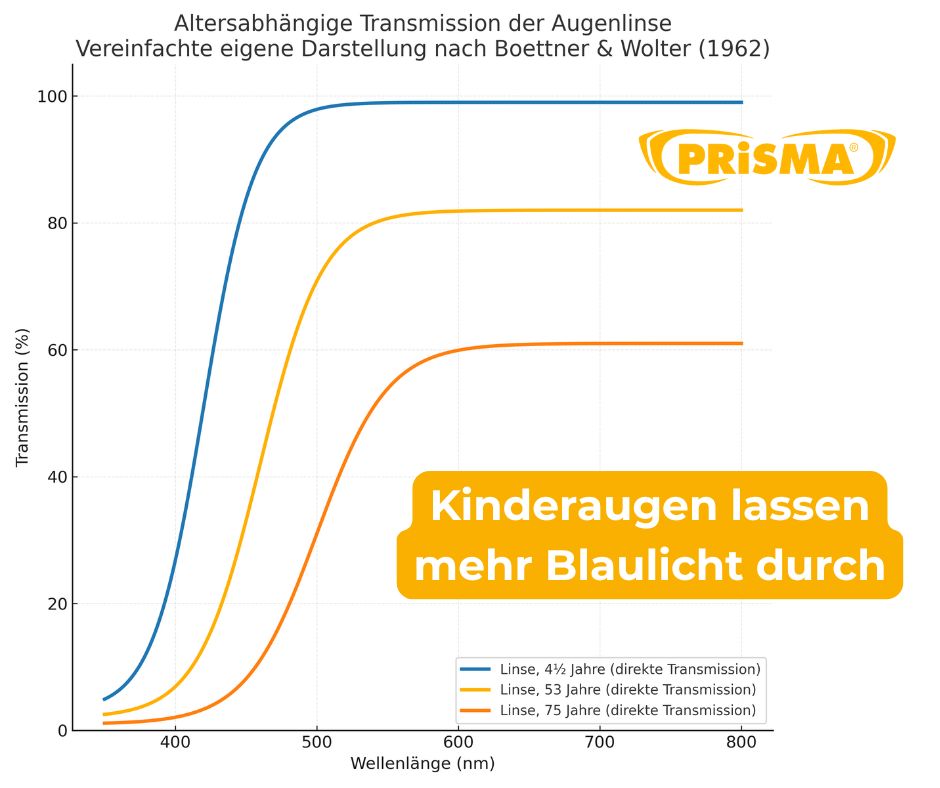 PrismaTweets's tweet image. Kinderaugen filtern kurzwelliges Licht weniger – das zeigen klassische Transmissionsdaten.
Institutionen weisen deshalb darauf hin, dass junge Augen anders auf Lichtquellen reagieren - im aktuellen Magazinbeitrag geht es um die Bewertung von Studien.
➡️ innovative-eyewear.de/glasklare-lins…