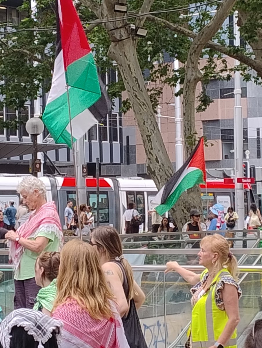 Teachers for Palestine at Sydney Town Hall rally to oppose Chris Minn's attempt to shut down democratic protest