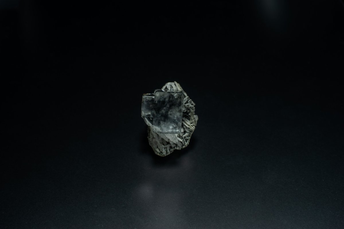 Kenichi Okamura tweet media