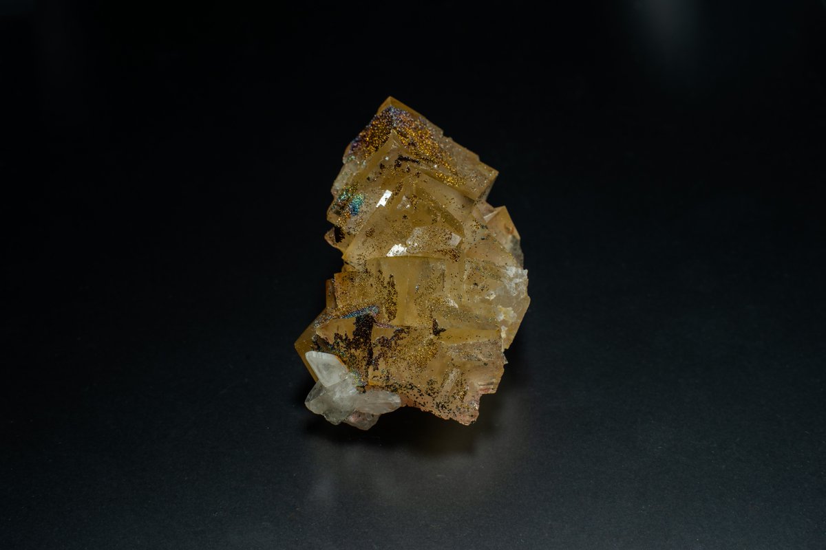 Kenichi Okamura tweet media