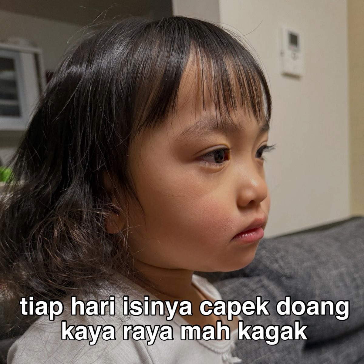 Shellaemeliana1's tweet image. 