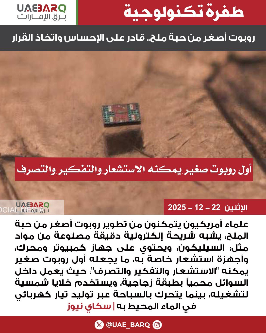 روبوت أصغر من حبة ملح.. قادر على الإحساس واتخاذ القرار | سكاي نيوز 