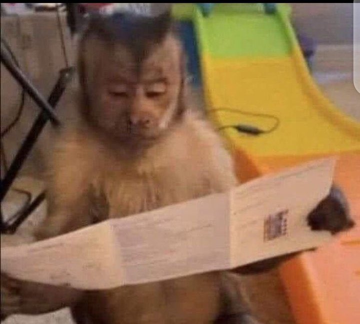 Nobody;

Northerners looking for wrong numbers to call😂😂😂😂