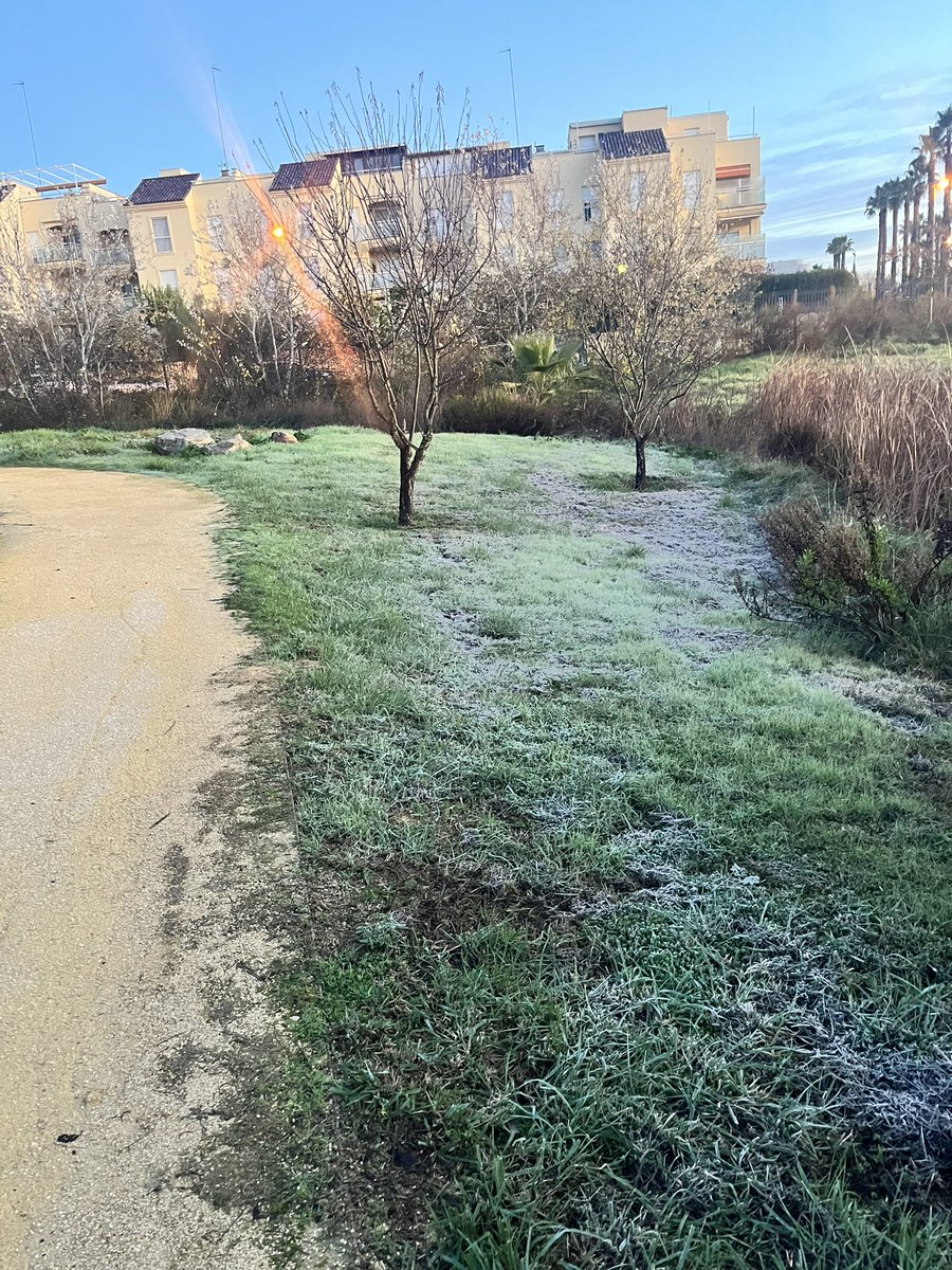 ContrabajoV's tweet photo. 22 diciembre: escarcha en el Parque Zaudín https://t.co/zeRrcvC0om