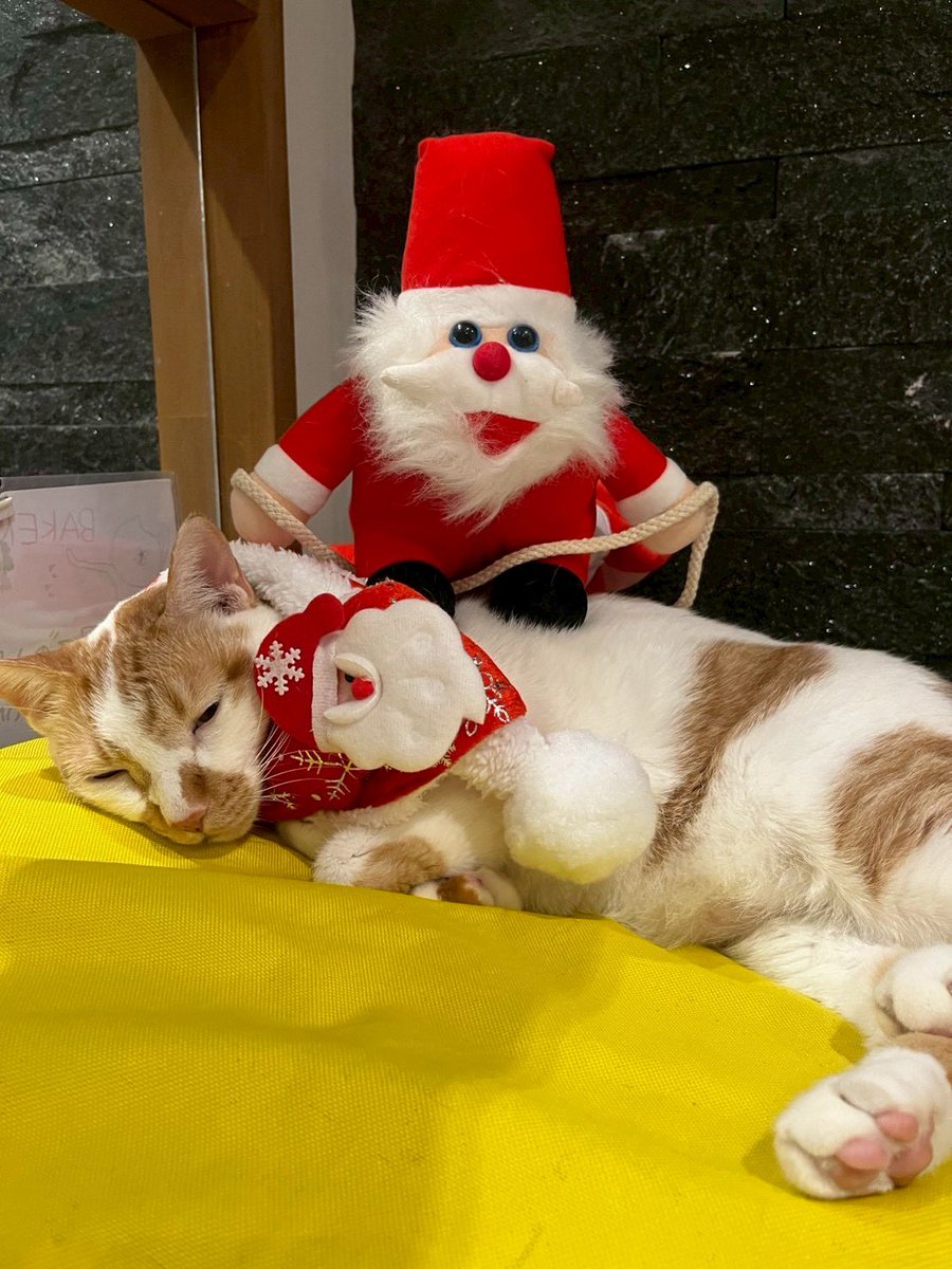 ねこだんご クリスマス トナカイ 18 クリスマスねこだんご トナカイ[三英貿易]《在庫切れ》