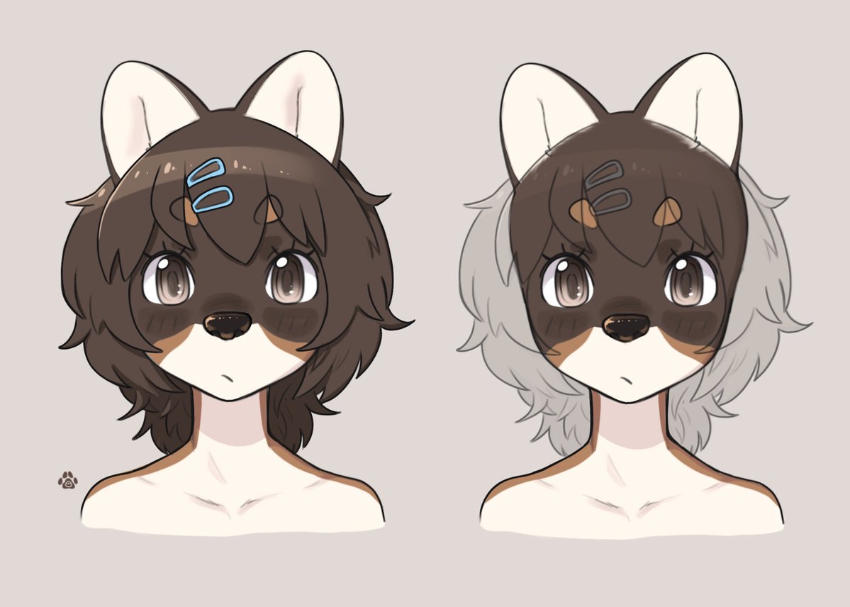 Tabby (@tabby_mow) on Twitter photo 