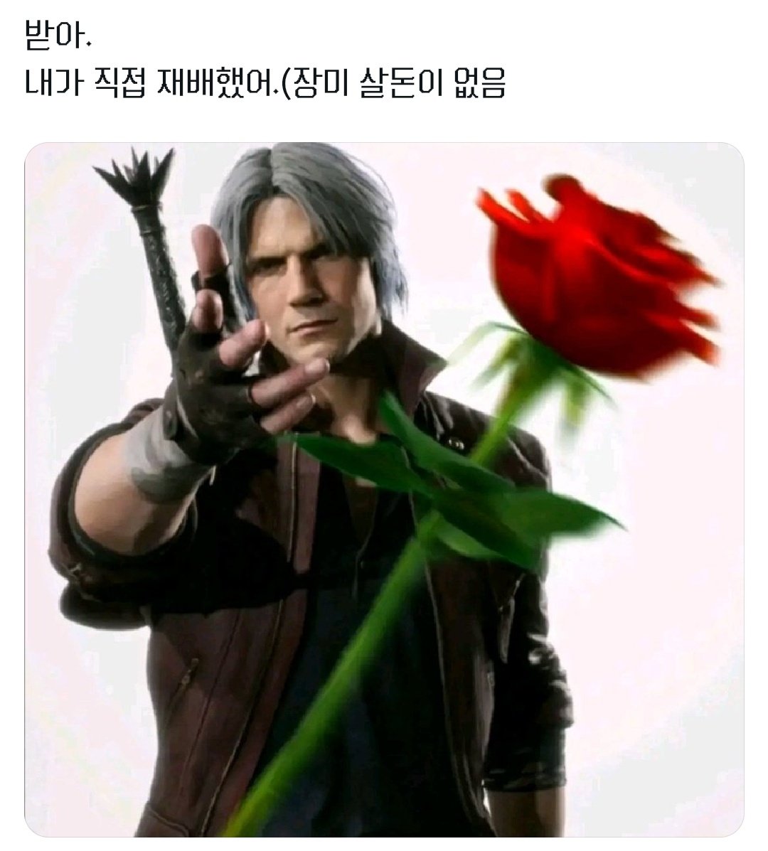 김피냥 (@gimamu222) on Twitter photo 