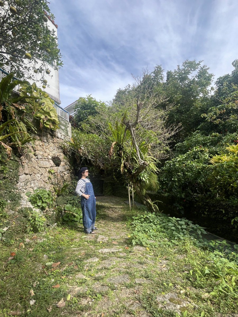 まりもページ まだまだ歴史探訪中ですが、、、 マリモ的2025年の締め括りは