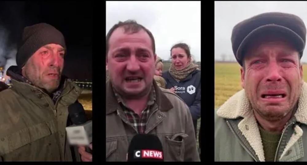 La Tribune Dimanche tweet media