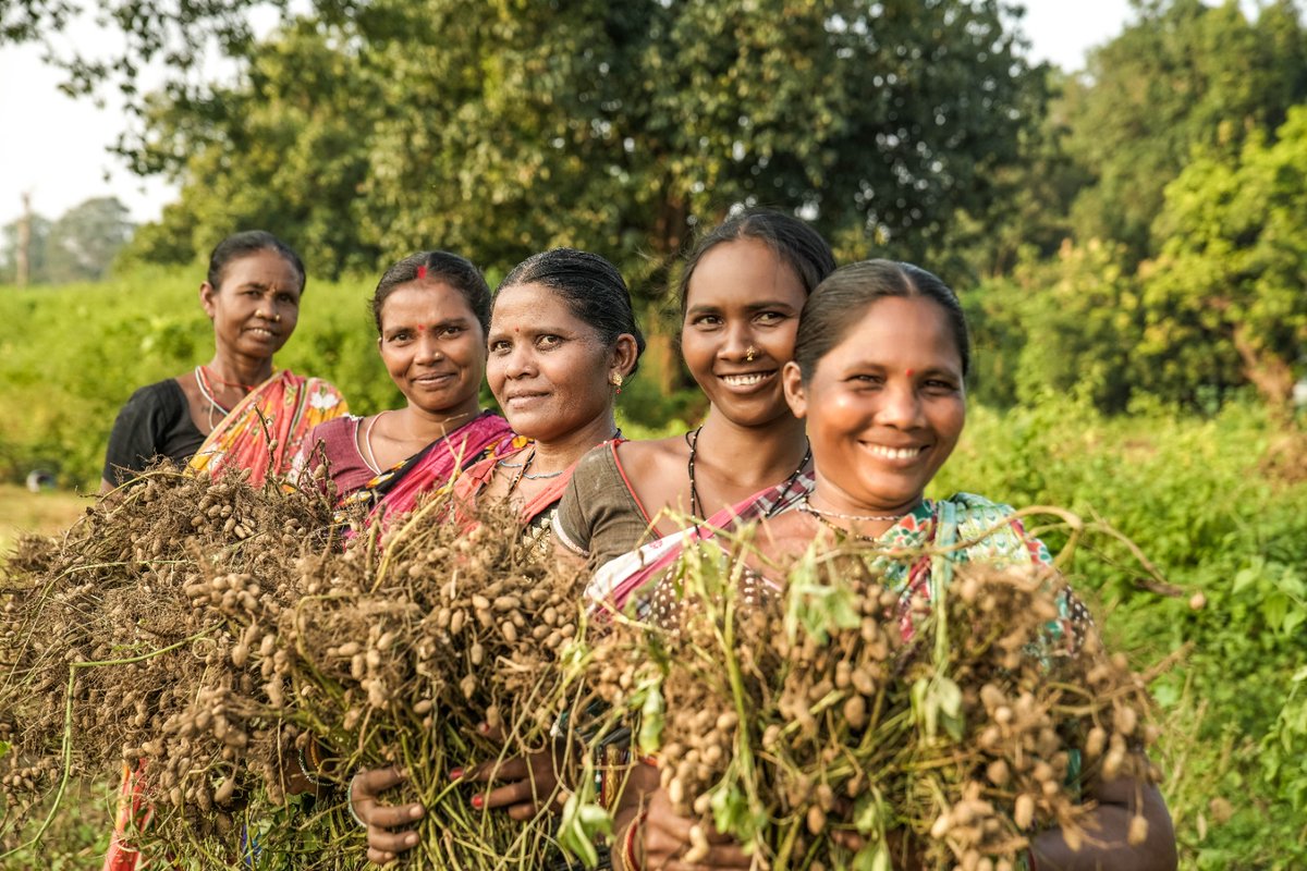 Bharat Rural Livelihoods Foundation tweet media