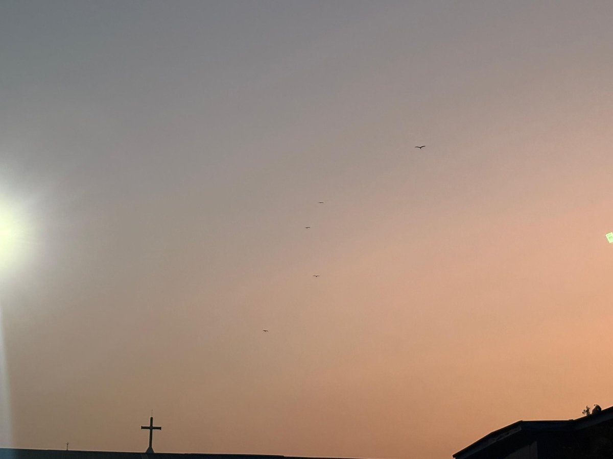 GM CT 

It's a new week and a few days to Christmas and I have no jobs in the space.... But in all situations I give God the glory for life alone🛐
Alhamdulillah 📿