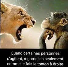 JulOG_'s tweet image. tu n’arriveras pas a me le faire détester 🤫🤫🤫