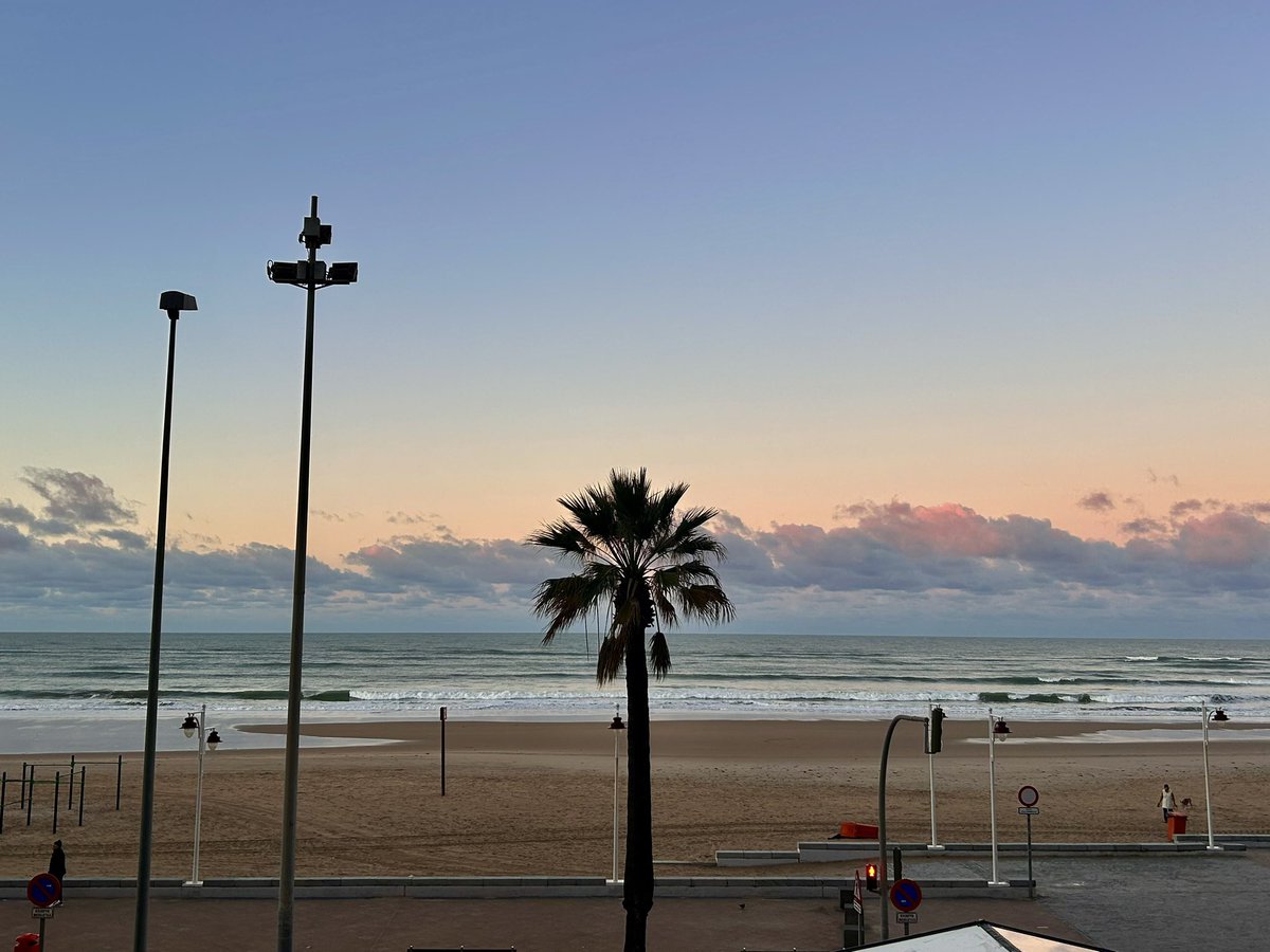 Que la palmera de Radio Cádiz reparta mucha suerte