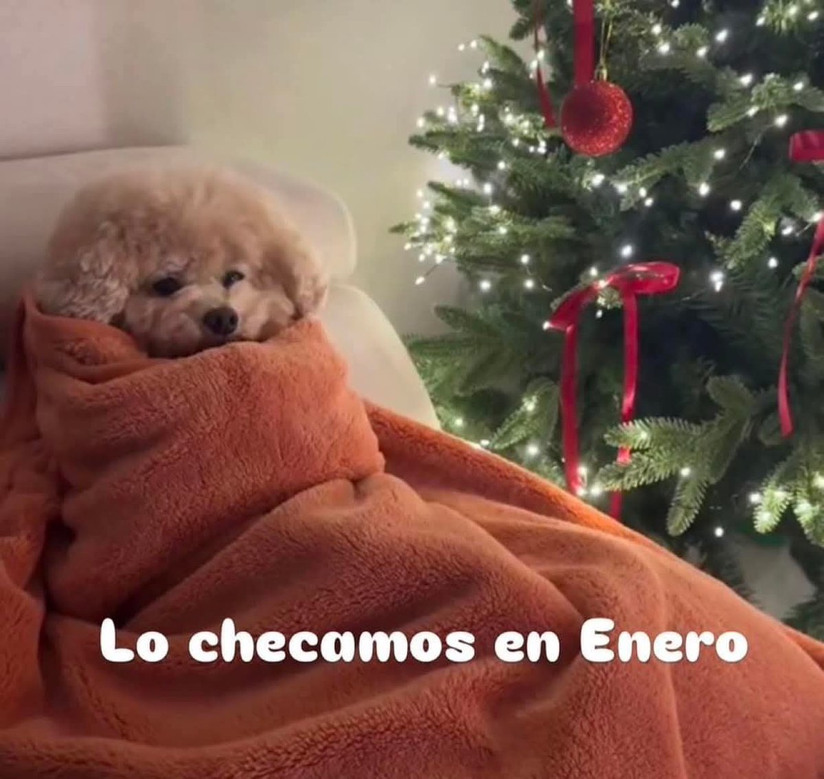 En_jupiter_'s tweet image. Cualquier cosa desde ahora: