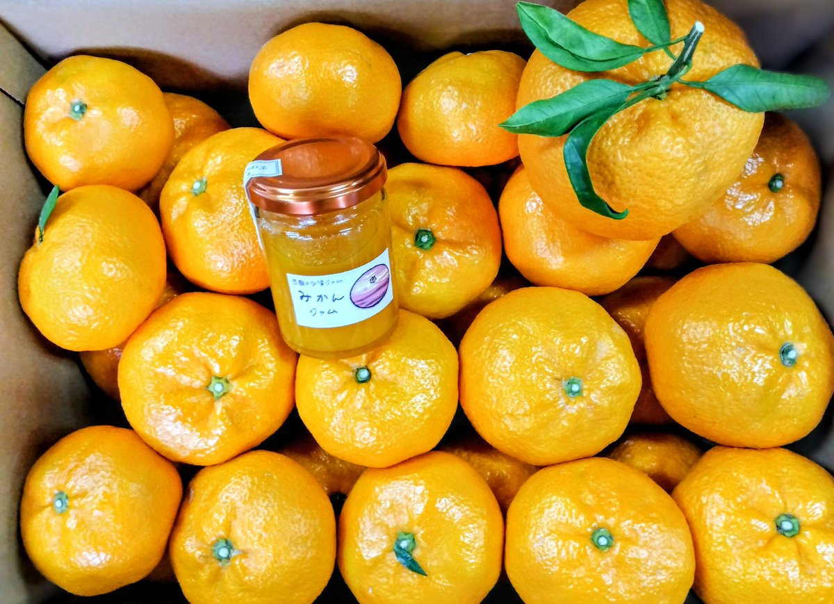 kouhei2708's tweet image. 沢山の注文ありがとうございます🙇🥹

豆酘平みかん５Ｋｇ夕陽ジャム付き
まだ沢山あります宜しくお願い致します🙇
　#対馬　#豆酘平みかん５Ｋｇセット　#豆酘の夕陽ジャム🍊