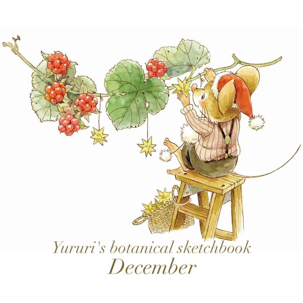 カレンダー最後の月は
フユイチゴを飾るユルリ🐹
１年間ユルリのスケッチをご覧くださり　ありがとうございました🌟

2026年カレンダーも
minne等でご覧いただけます。
よろしくお願いいたします😌

minne.com/items/44540023
