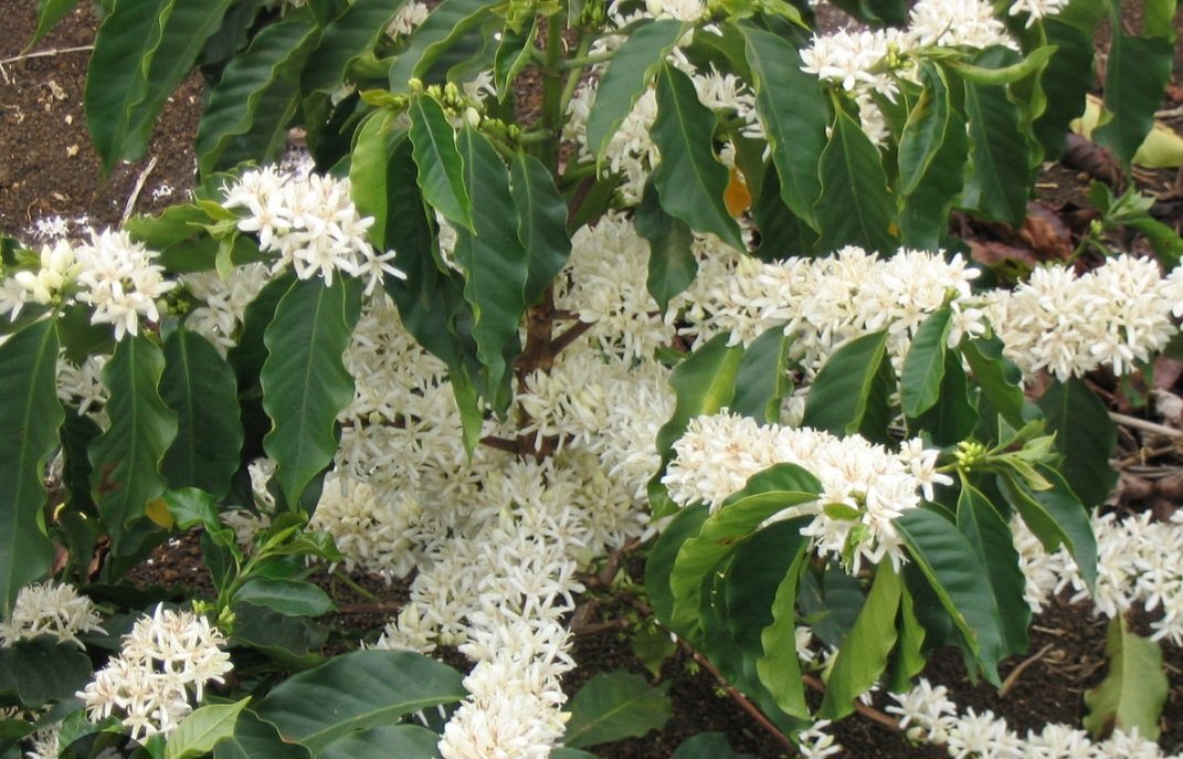 Kazibwe Bashir Mbaziira tweet media