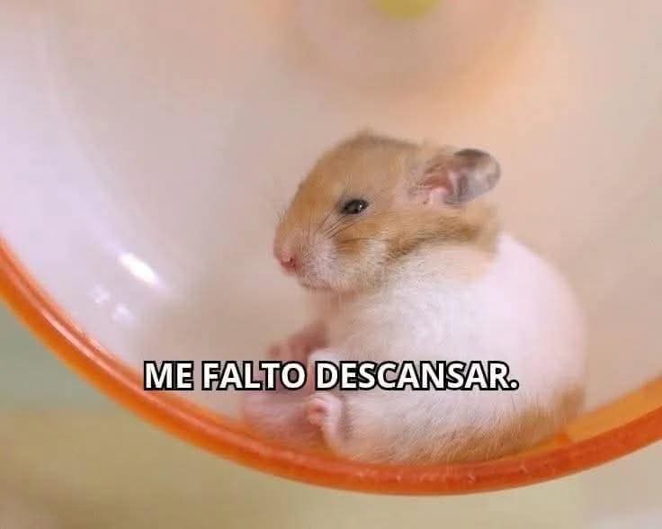 En_jupiter_'s tweet image. Yo en pleno inicio de semana