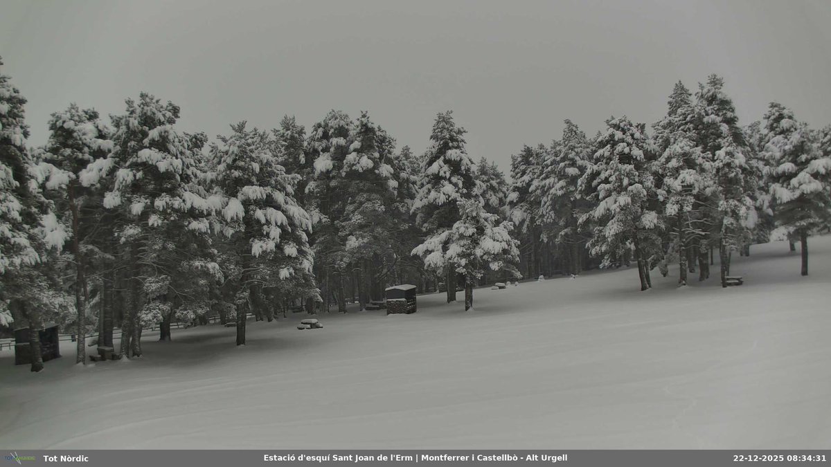 TotNordic's tweet photo. Bon dia! Les webcams de les estacions dâesquĂ nòrdic ens mostren uns paisatges hivernals espectaculars! đ
#TotNòrdic #EsquĂNòrdic #EsquĂDeFons #SomDeNòrdic #SomDeFons #JoFons #RaquetesDeNeu https://t.co/5pioMxNBkv