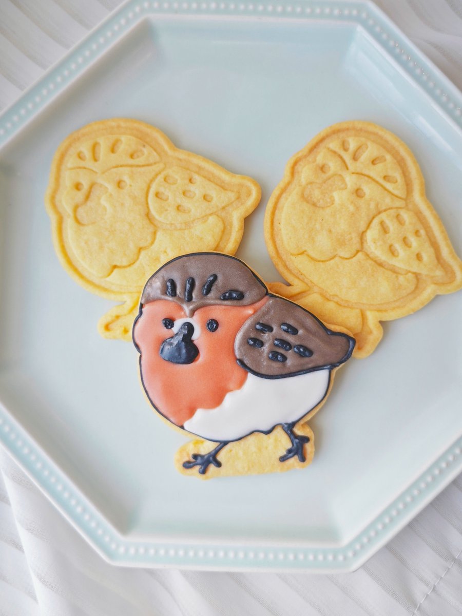 Shan Shui Conservation Center tweet media