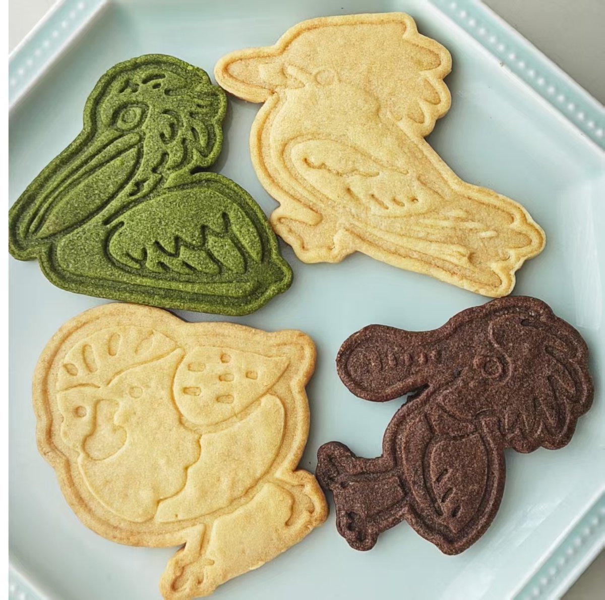 Shan Shui Conservation Center tweet media