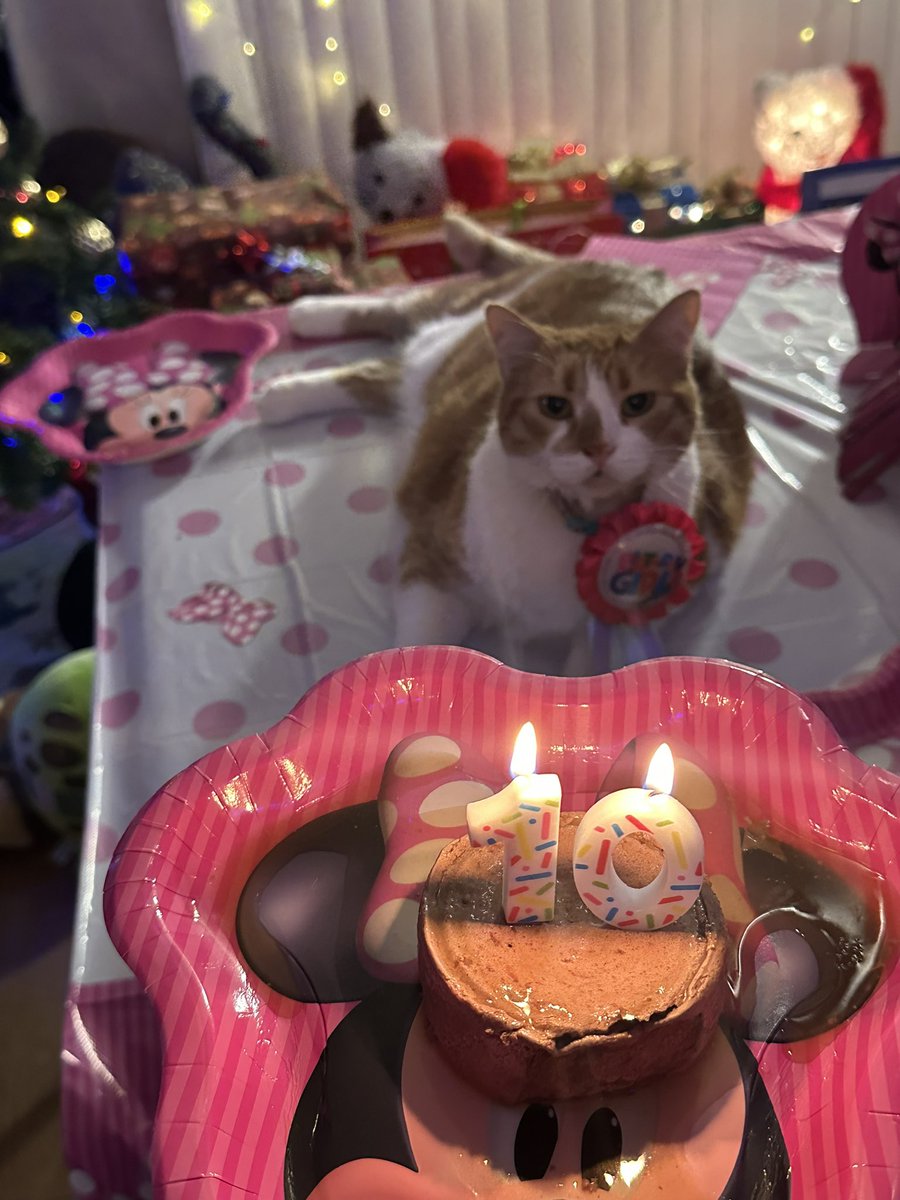 oreokittykat's tweet photo. Hello friends 😸 Today is a very special day because it is Lily’s and Peaches’ birthday! 🎂🥳🎉 Peaches is 10 and Lily is 11. Please help us wish them Happy Birthday! 😻 #birthdaygirls #catsoftwitter #catsbirthday https://t.co/471GwU3cmc