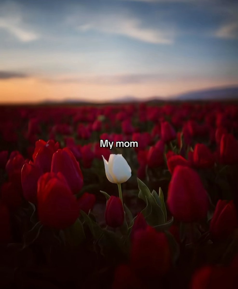 غامض (@ihr3_) on Twitter photo 