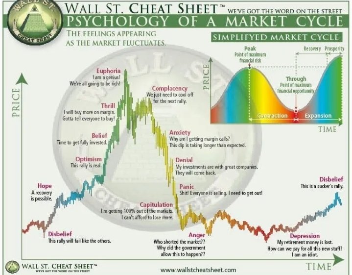 Crypto Guppie 🐟 tweet media