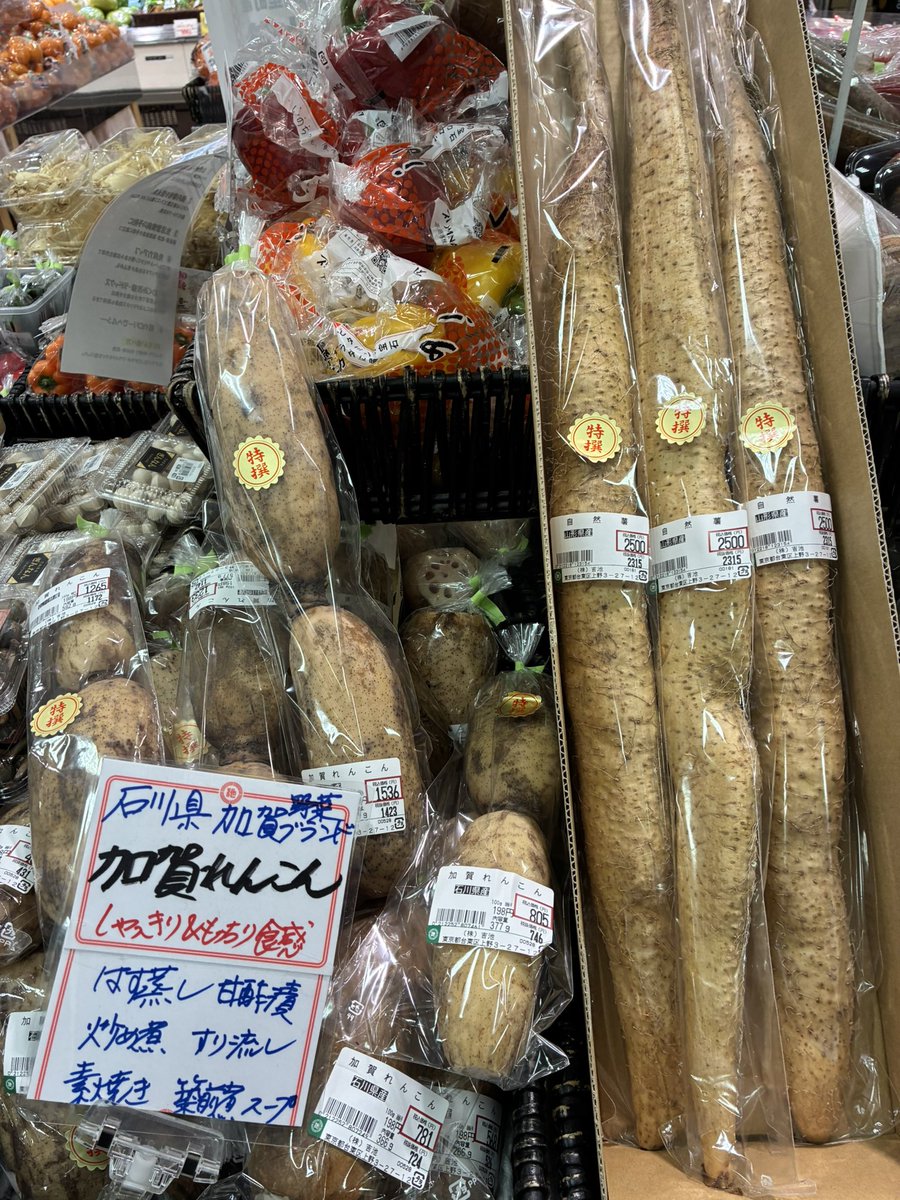 おすすめ野菜いろいろその④