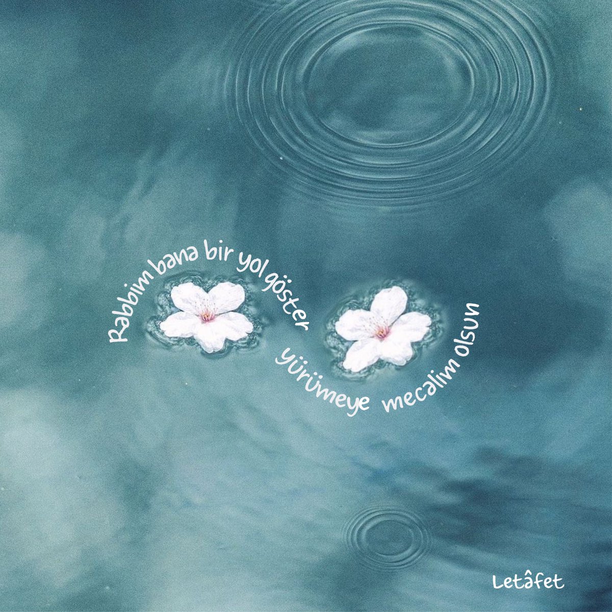 Letafetx's tweet image. | aralık, 22