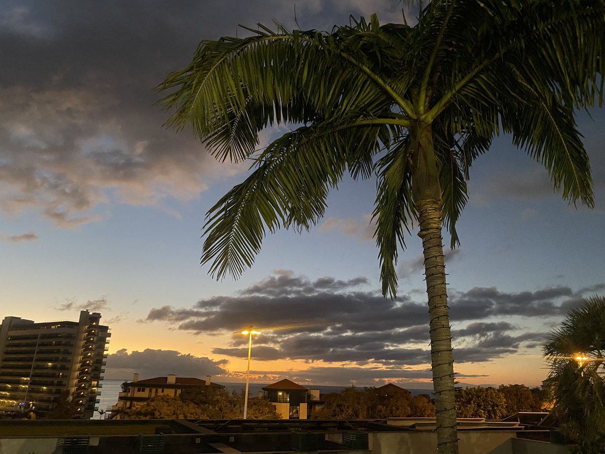 Anders Iwers tweet media