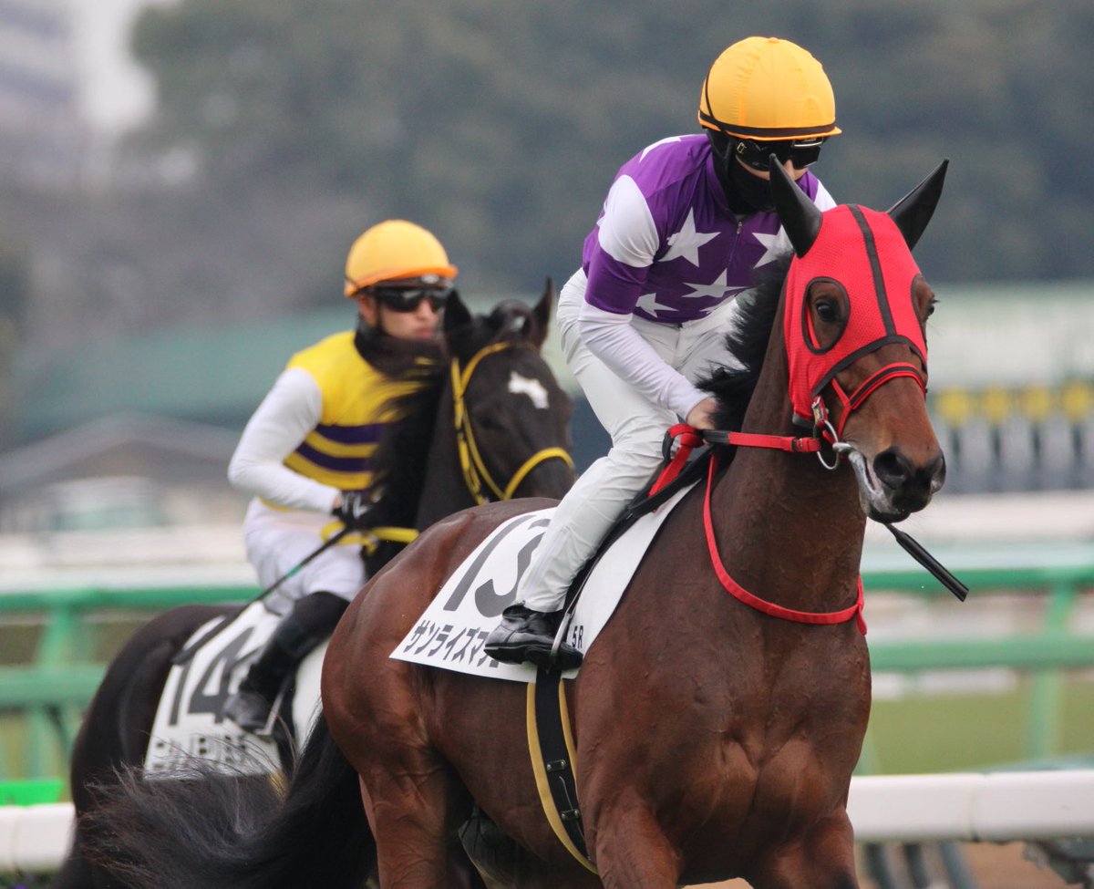 ハルちゃんちのママ (@zbsJUMqxrLzXEM8) / Posts / X